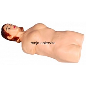 Korpus dorosłego człowieka do badań palpacyjnych HUG/Z980A